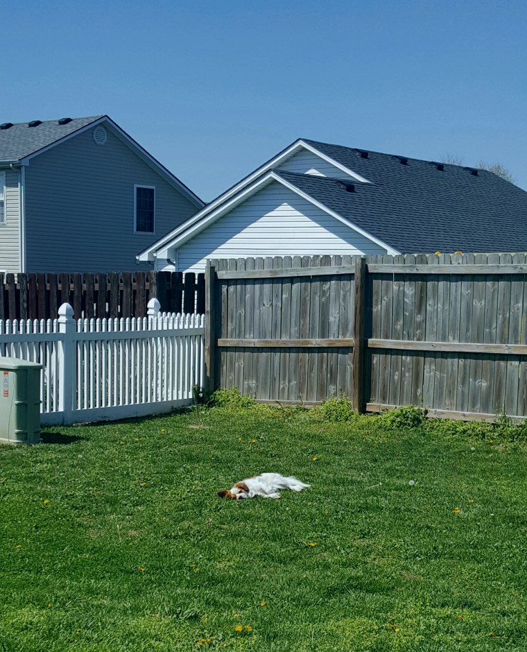 20160415_122146.jpg