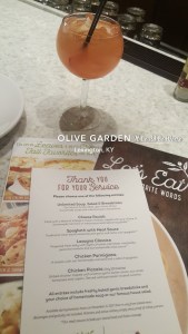 Seeing All of the Doctors - Another Month in My Crohn's Journey Olive Garden Veterans Day