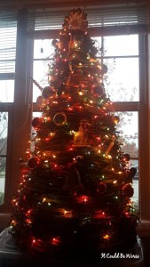 Seeing All of the Doctors - Another Month in My Crohn's Journey - Christmas Tree Mary Horsley
