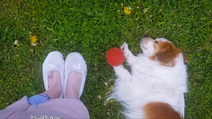 3 Months Post-Op Slipping Rib Syndrome bilbo baggins mary horsley it could be worse blog