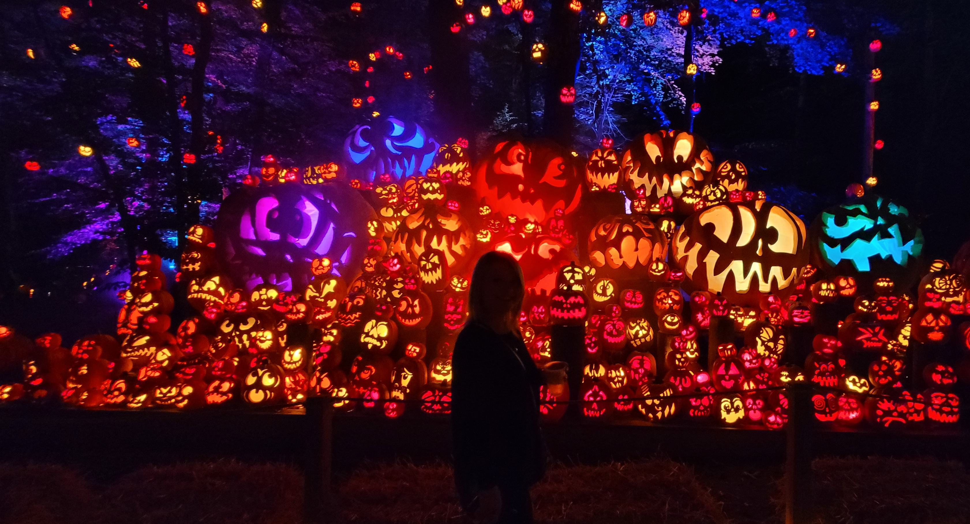 Pain in the Neck - It Could Be Worse Blog - mary horsley - Louisville ky jack o lantern spectacular spooktacular 5000 pumpkin carvings halloween